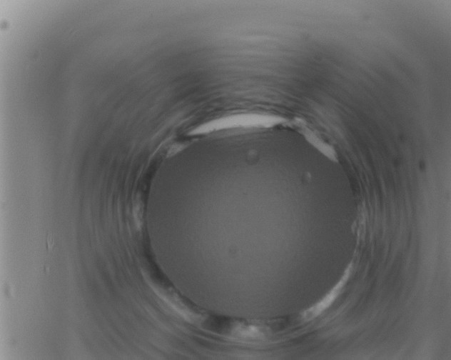 X0000062830174200601272000