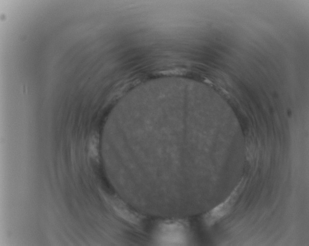 X0000062830175200601272000