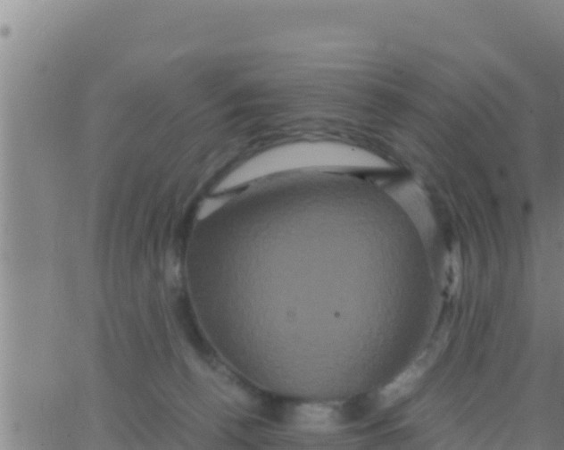 X0000062830176200601272000