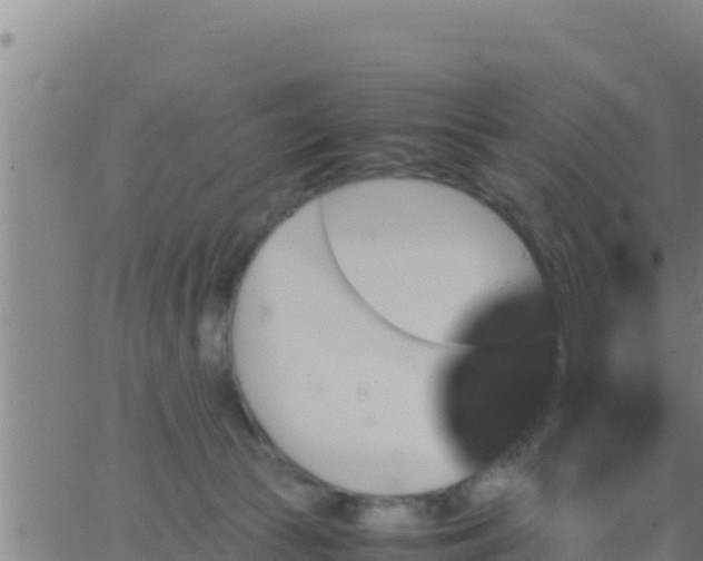 X0000062830177200601272000