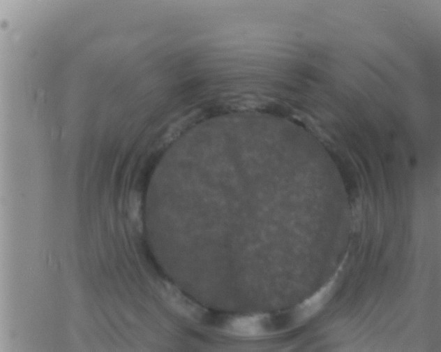 X0000062830178200601272000