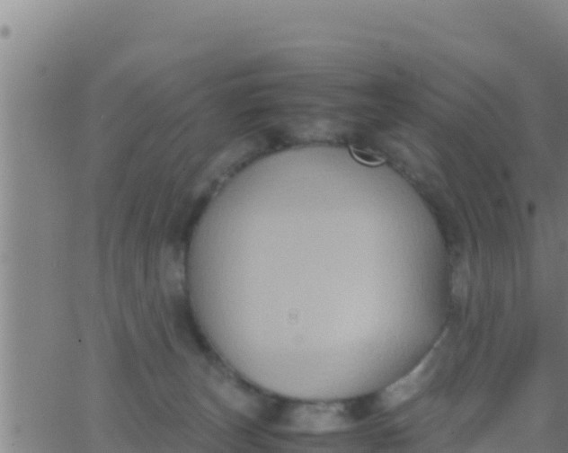 X0000062830179200601272000