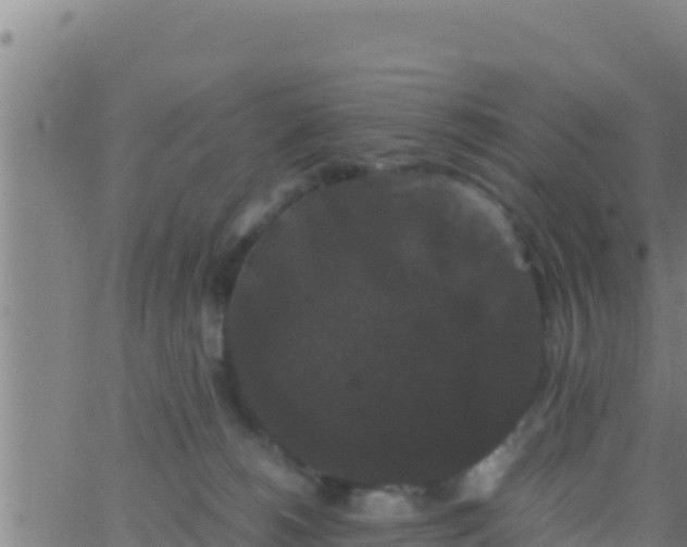 X0000062830180200601272000