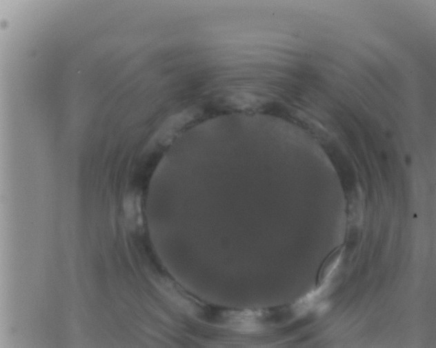 X0000062830182200601272000