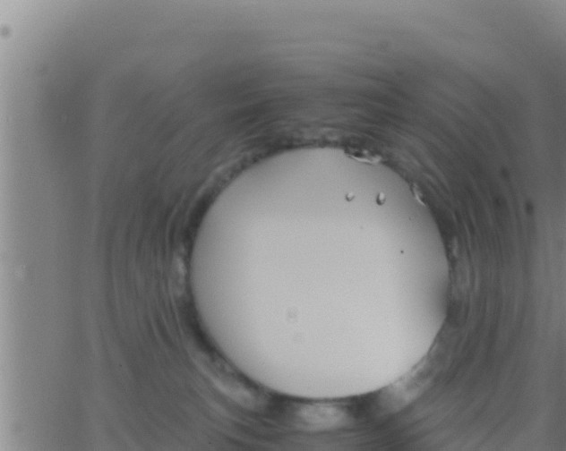 X0000062830183200601272000