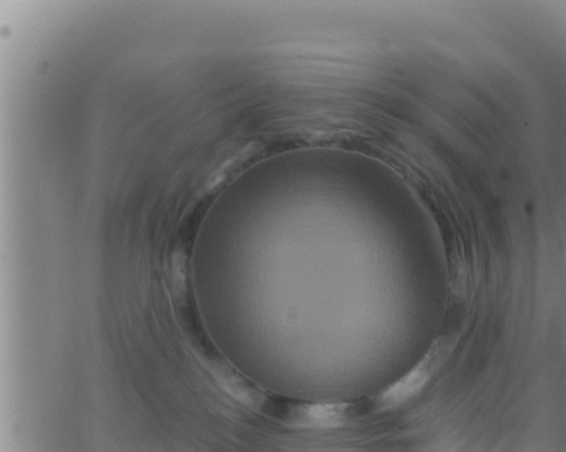 X0000062830184200601272000