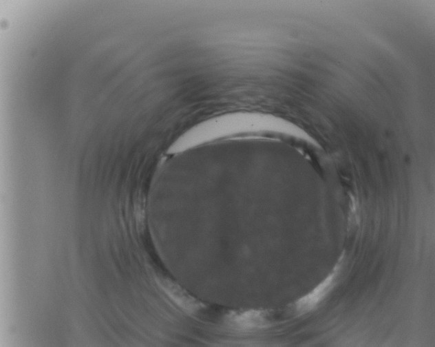 X0000062830186200601272000