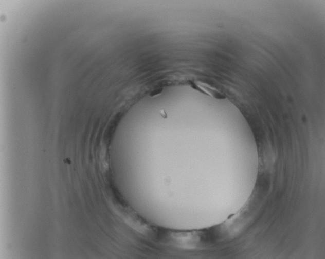 X0000062830187200601272000