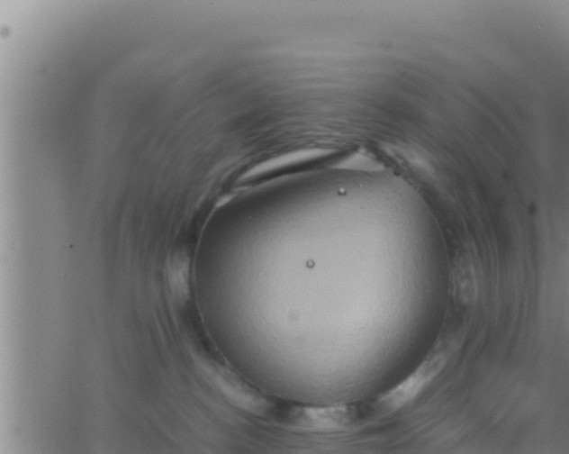 X0000062830188200601272000