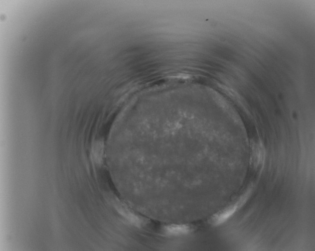 X0000062830189200601272000