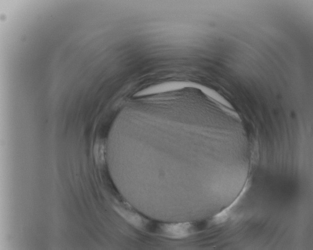 X0000062830191200601272000