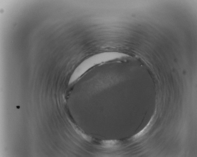 X0000062830192200601272000