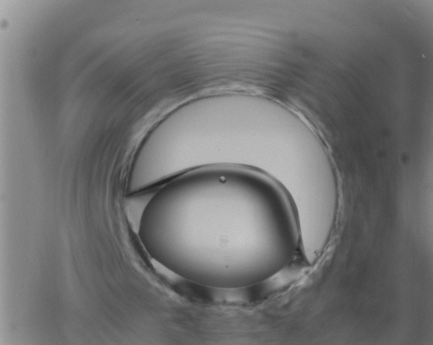 X0000062830193200601271959