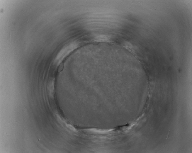 X0000062830194200601271959