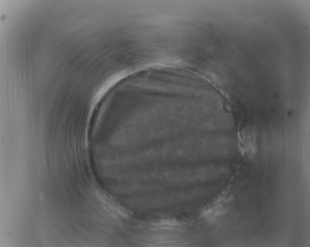 X0000062830196200601271959