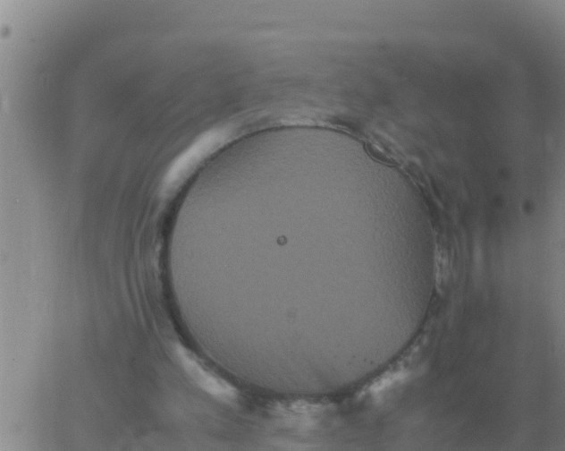 X0000062830197200601271959