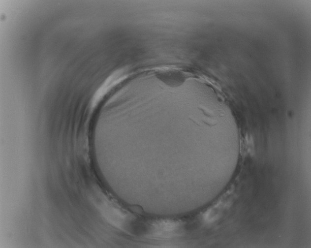 X0000062830198200601271959