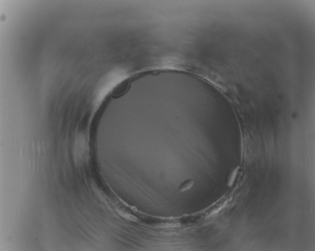 X0000062830200200601271959