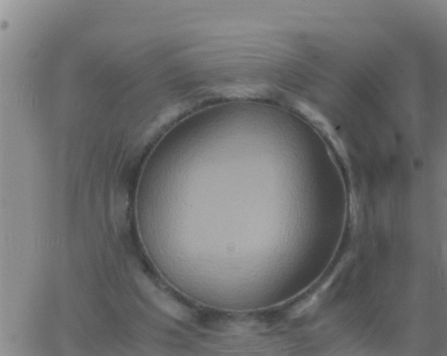 X0000062830201200601271959