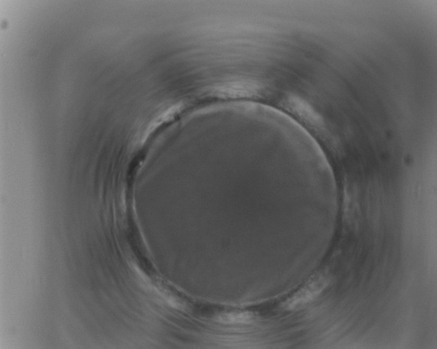 X0000062830202200601271959