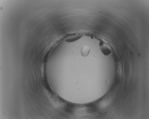 X0000062830206200601271959