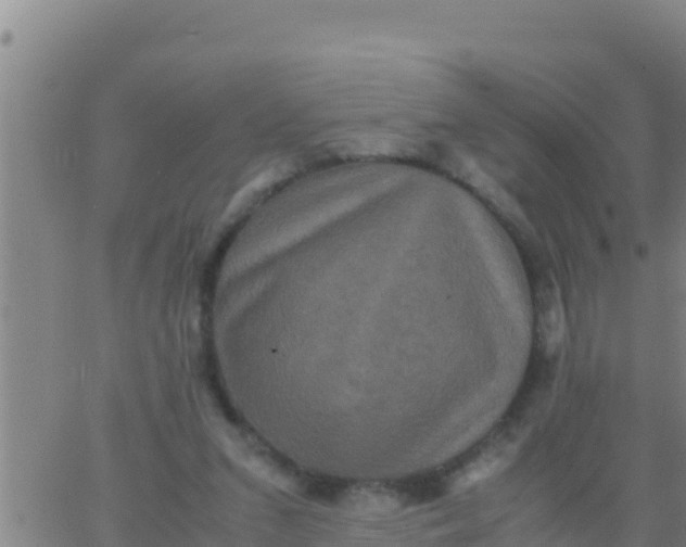 X0000062830207200601271959