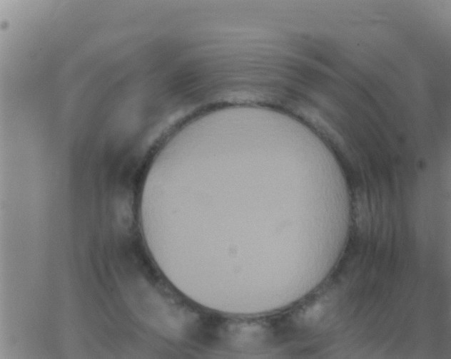 X0000062830208200601271959