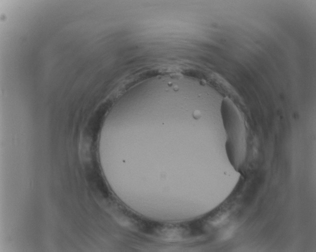 X0000062830209200601271959