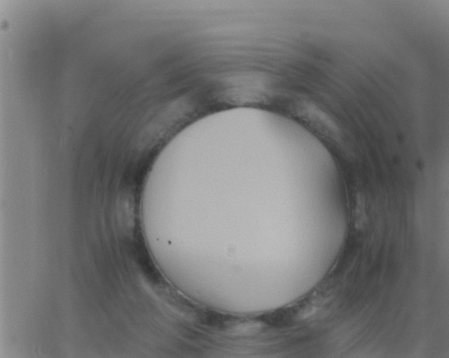 X0000062830210200601271959