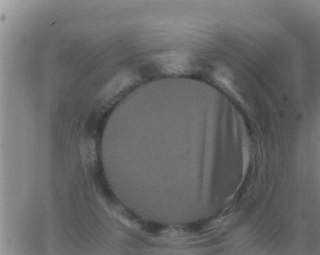 X0000062830211200601271959