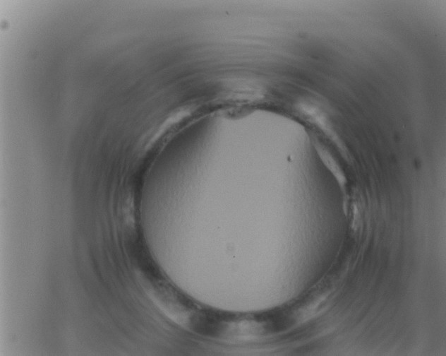 X0000062830212200601271959