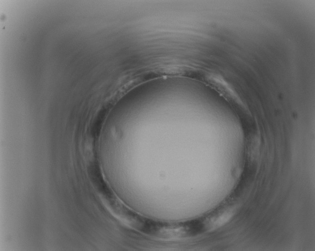 X0000062830213200601271959