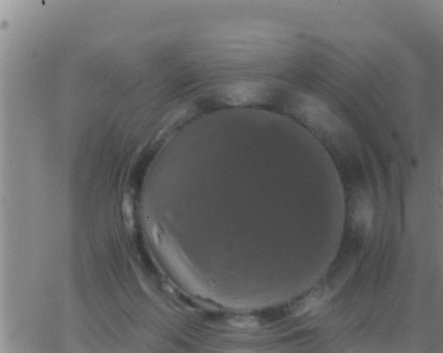 X0000062830214200601271959