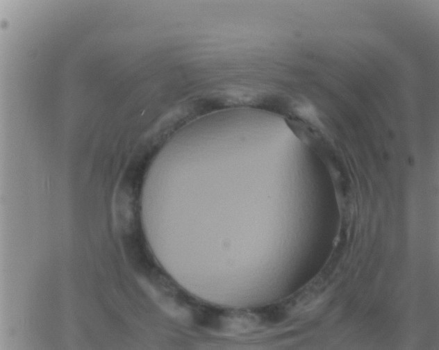 X0000062830215200601271959