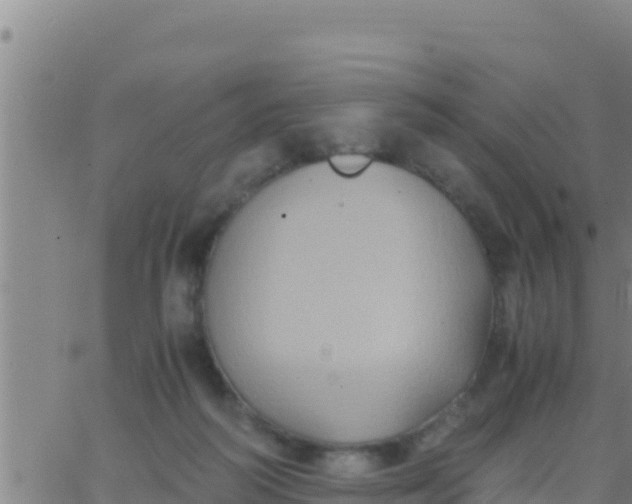 X0000062830218200601271959