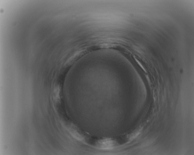 X0000062830219200601271959