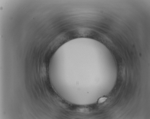 X0000062830220200601271959