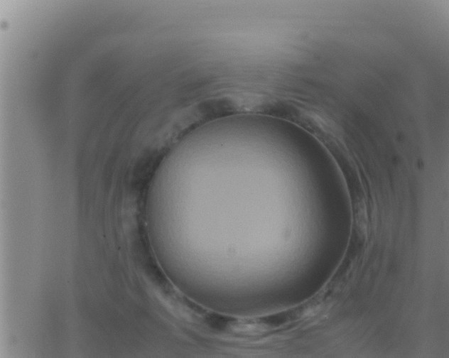 X0000062830221200601271959