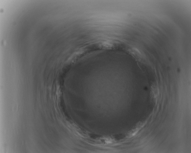 X0000062830223200601271959