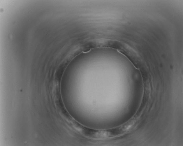 X0000062830225200601271959