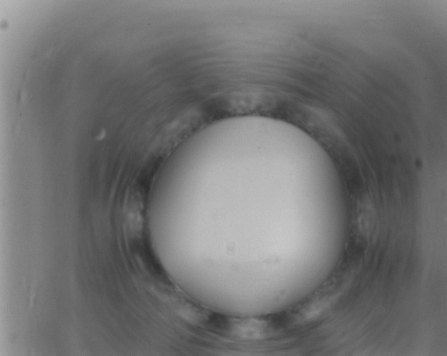 X0000062830226200601271959