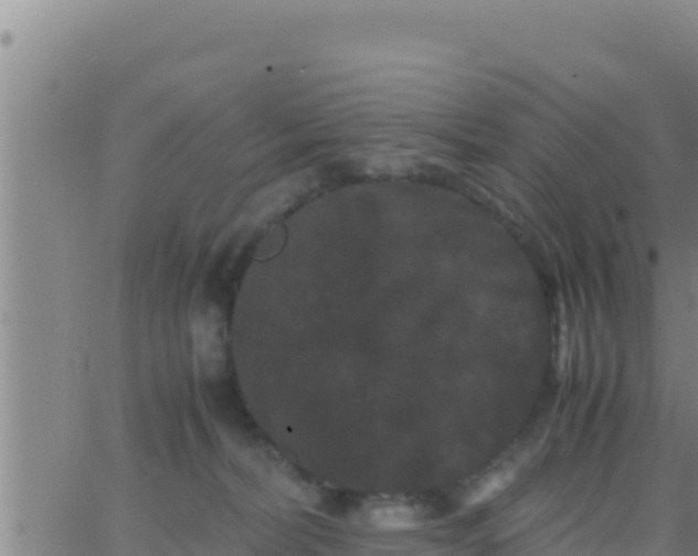 X0000062830228200601271959