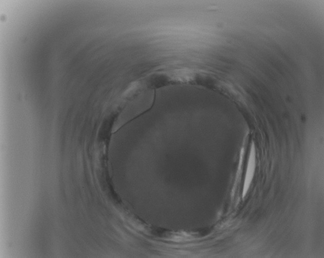 X0000062830229200601271959