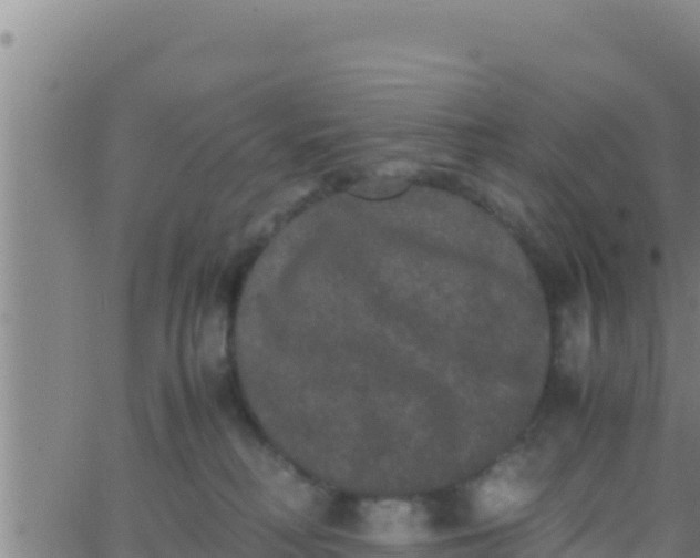 X0000062830230200601271959