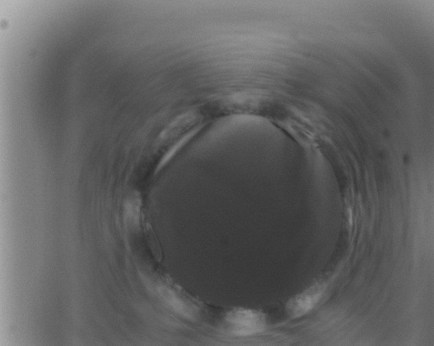 X0000062830231200601271959