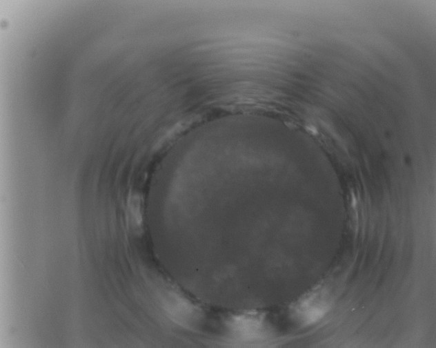 X0000062830232200601271959