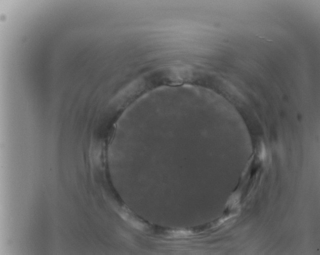 X0000062830233200601271959