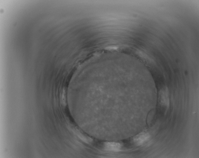 X0000062830234200601271959