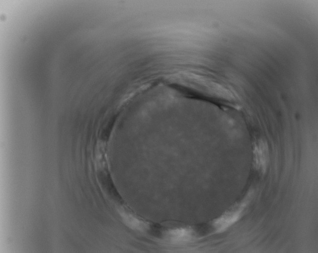 X0000062830237200601271959