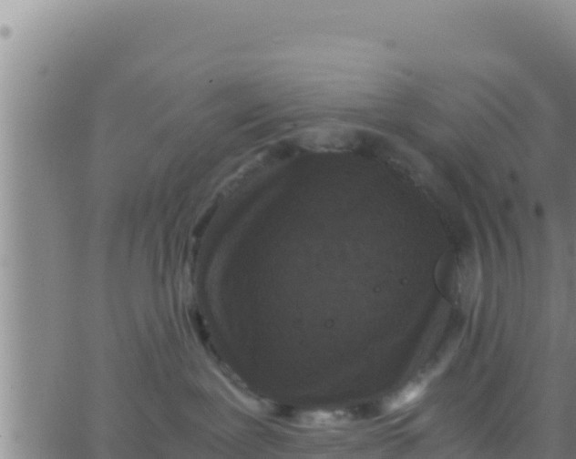 X0000062830239200601271959